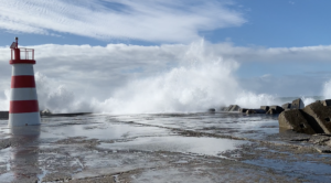 Die Ruhe nach dem Sturm, 17.11.2022