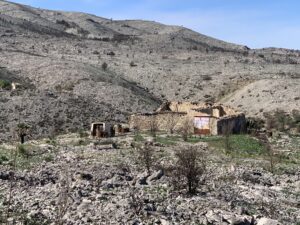 Erste kleine Eingewöhnungstour