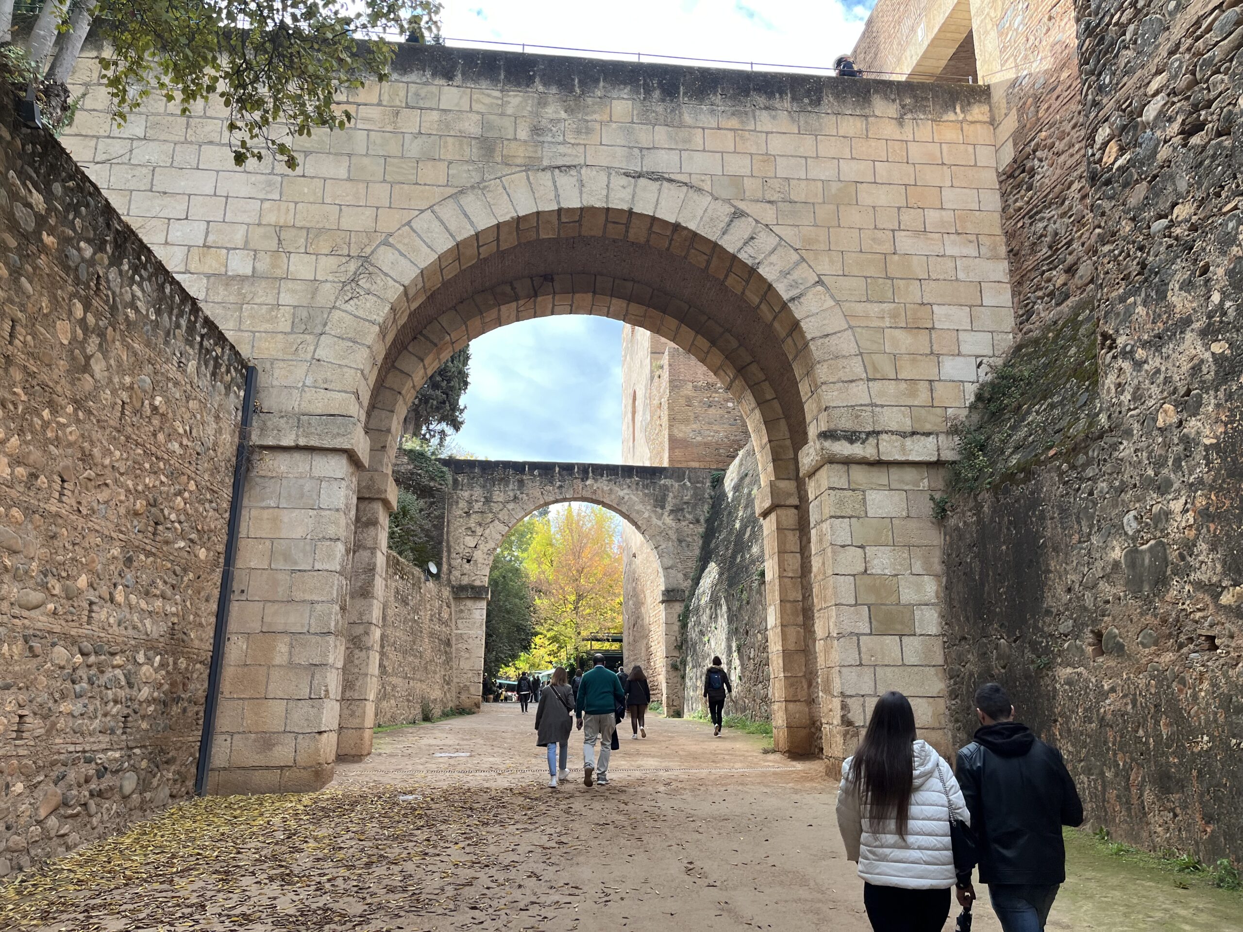 Dieses Bild hat ein leeres Alt-Attribut. Der Dateiname ist IMG_4994.jpeg